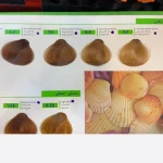 رنگ موی سوبارو سری طلایی – درخشندگی خیره‌کننده با جلوه طبیعی و لوکس - Image 2